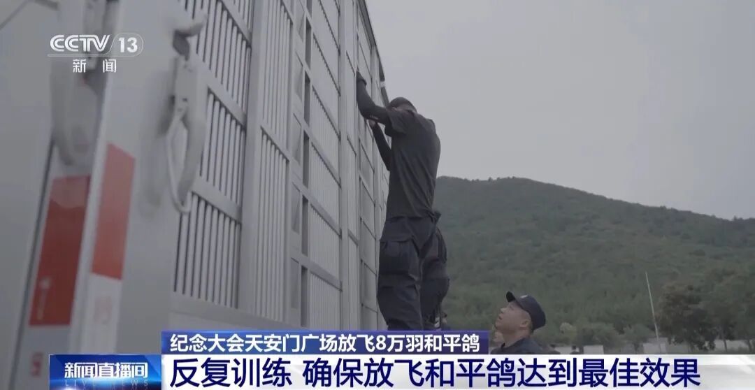 九三阅兵，这支庞大又特殊的队伍“压轴”出场