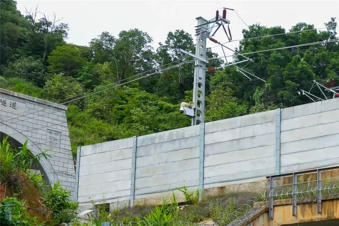 野象“打卡”跨境铁路?背后原因暖到了! 野象“打卡”跨境铁路?背后原因暖到了!