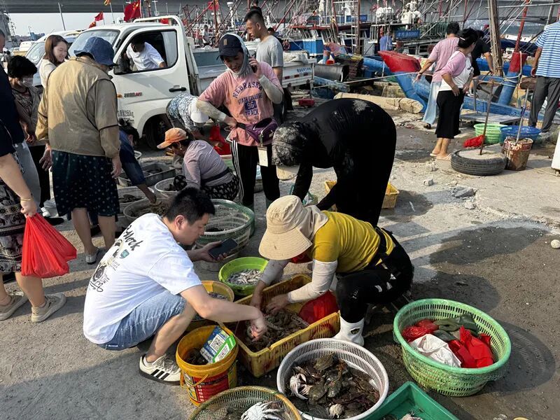 开海啦!15元一斤! 开海啦!15元一斤!
