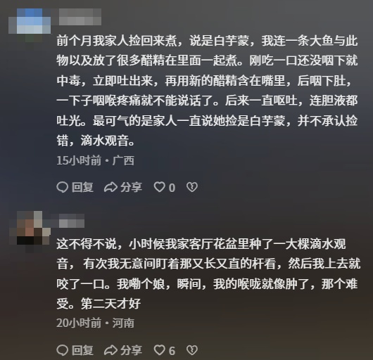 女子吃一口就中毒,紧急就医!这个菜很多人认不清→ 女子吃一口就中毒,紧急就医!这个菜很多人认不清→