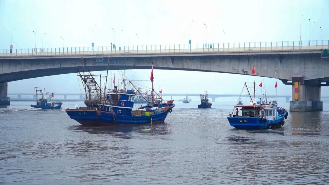 开海啦!15元一斤! 开海啦!15元一斤!