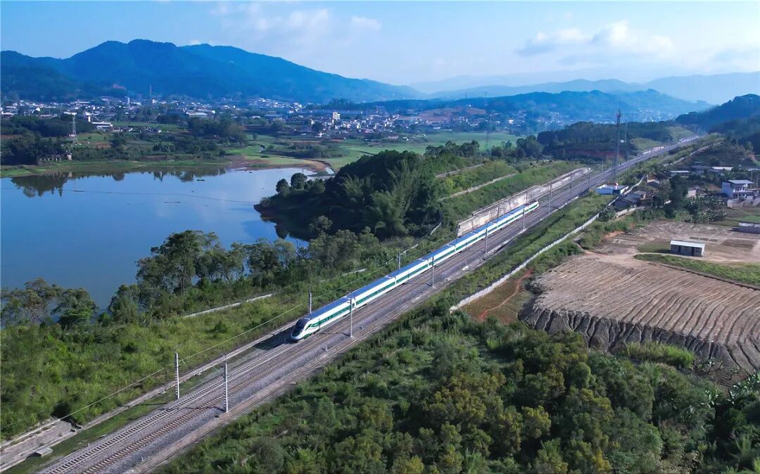 野象“打卡”跨境铁路?背后原因暖到了! 野象“打卡”跨境铁路?背后原因暖到了!