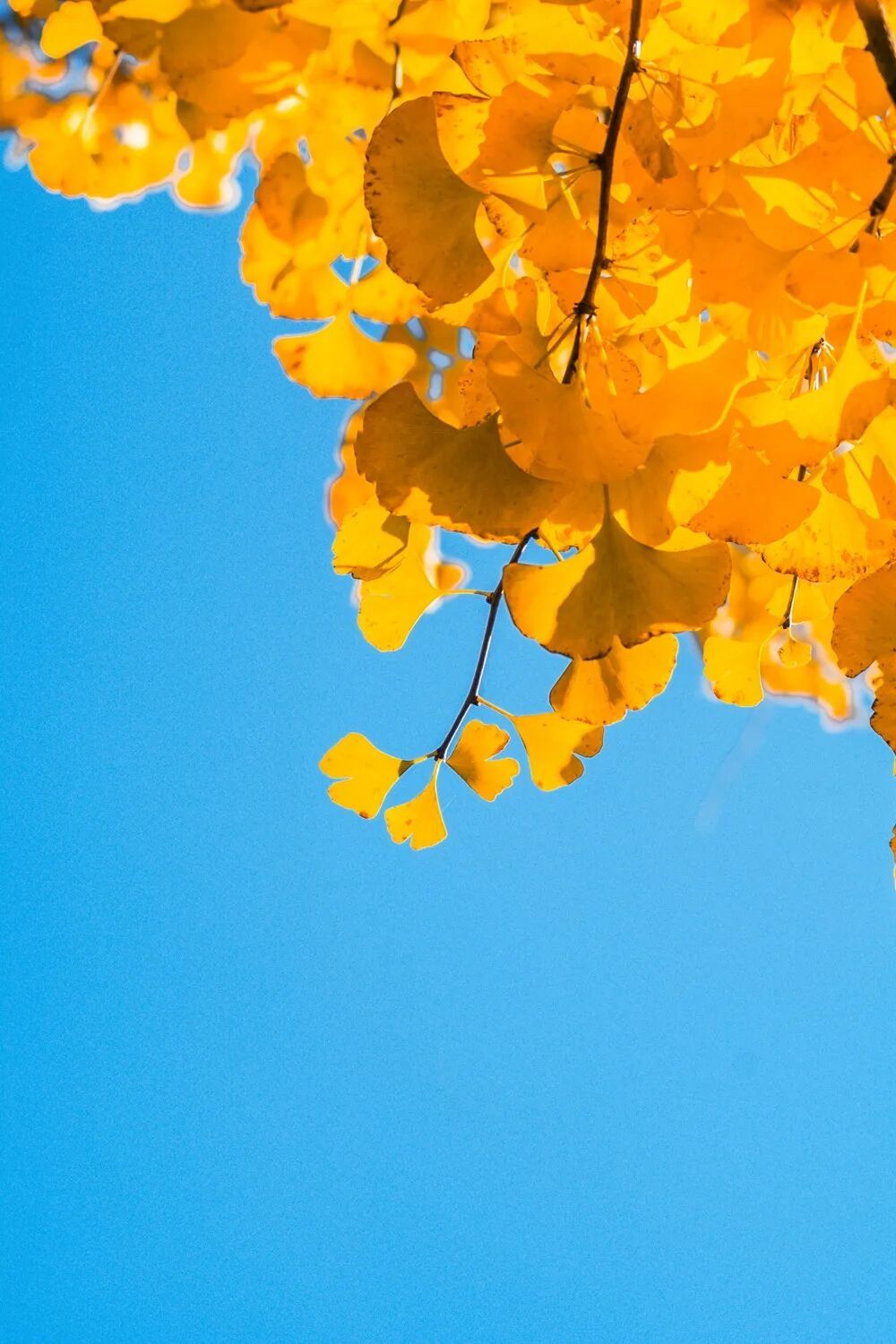 降温时间来了!江西人做好准备,这波“过山车”有点猛! 降温时间来了!江西人做好准备,这波“过山车”有点猛!