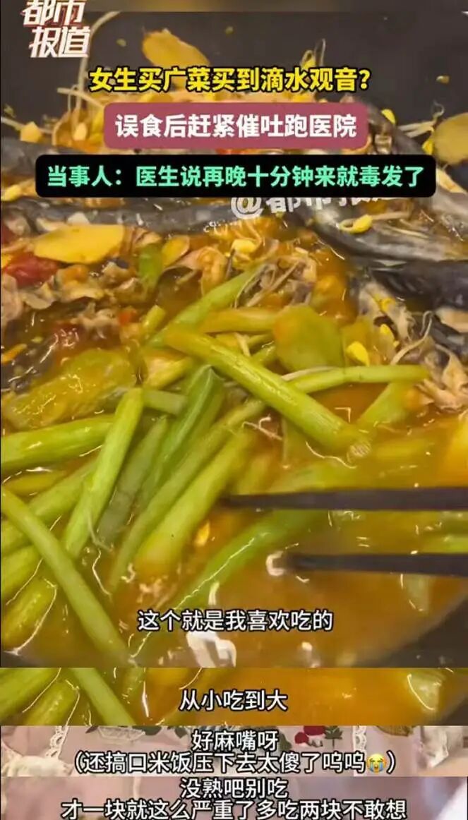 女子吃一口就中毒,紧急就医!这个菜很多人认不清→ 女子吃一口就中毒,紧急就医!这个菜很多人认不清→