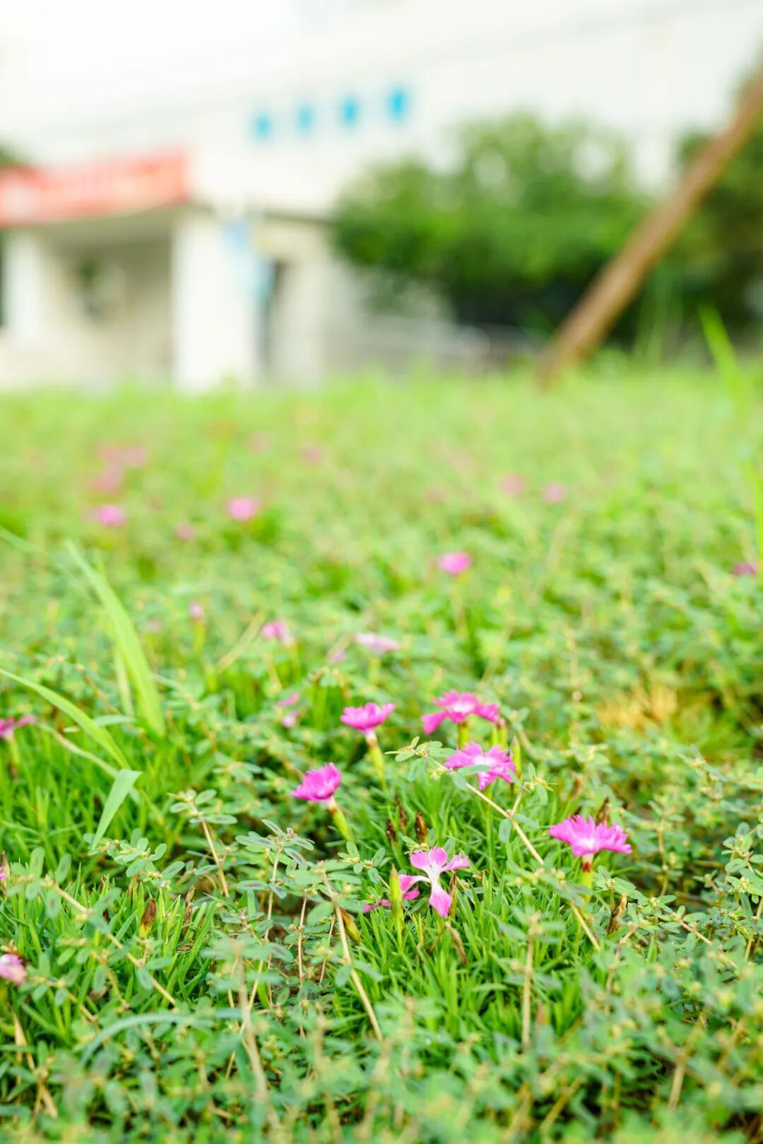 镜头下的北京科学中心丨欧石竹 镜头下的北京科学中心丨欧石竹
