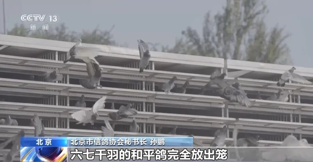 九三阅兵，这支庞大又特殊的队伍“压轴”出场
