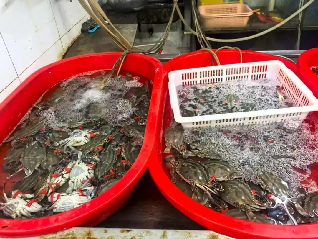 正大量上市！南京疾控提醒