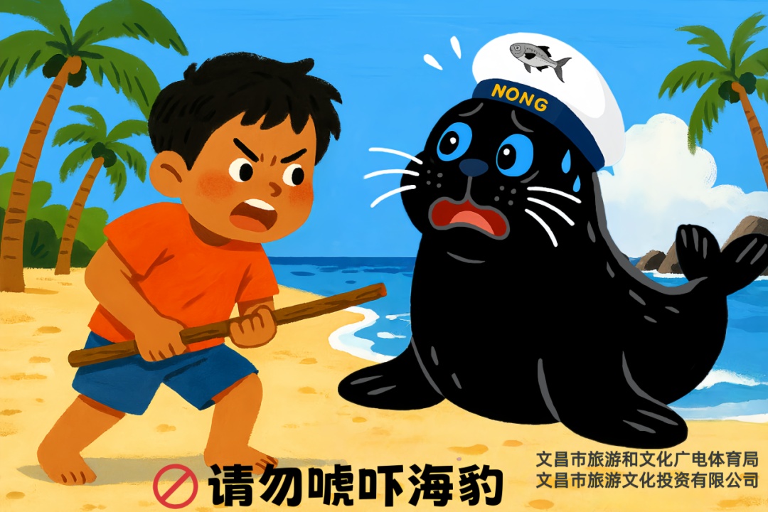 “阿侬”是什么海豹？究竟什么来头？又有新说法→