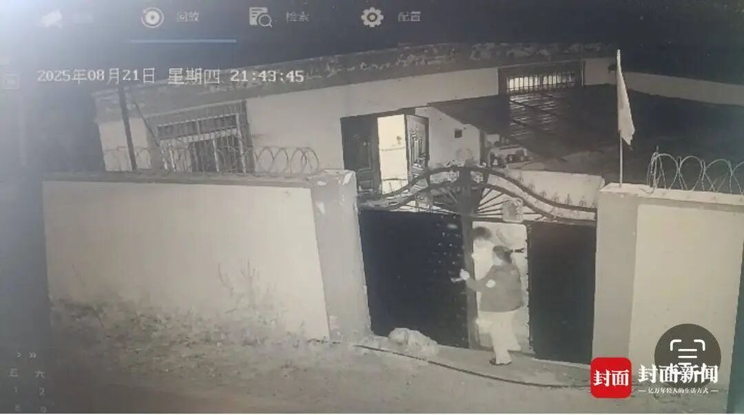 两棕熊夜闯小院叼走流浪狗 ，屋内人30秒帮它“熊口脱险”