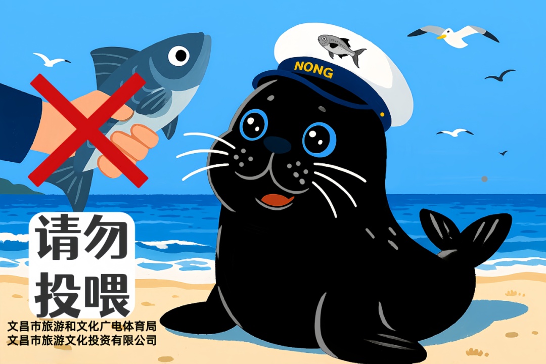 “阿侬”是什么海豹？究竟什么来头？又有新说法→