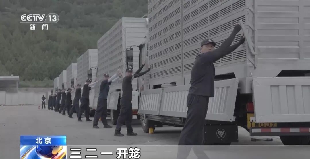 九三阅兵，这支庞大又特殊的队伍“压轴”出场