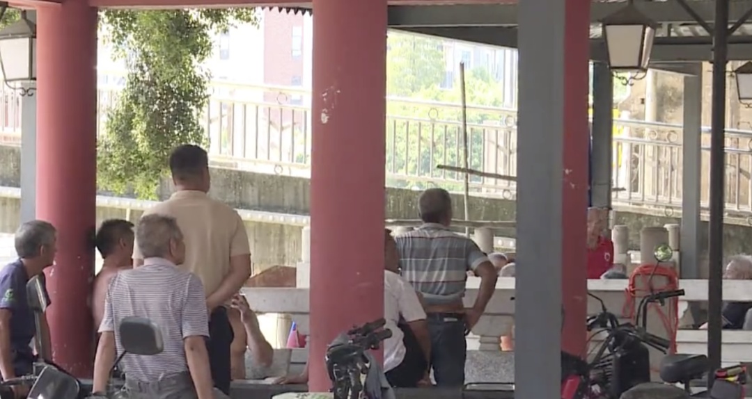 猴哥出没，上蹿下跳还“接受投喂”！东莞一地回应