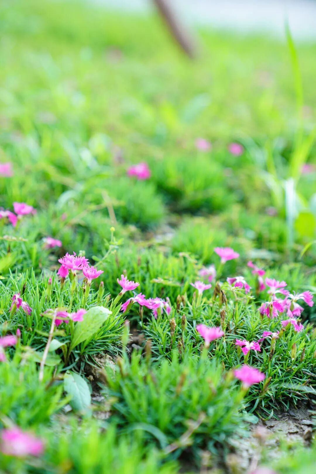 镜头下的北京科学中心丨欧石竹 镜头下的北京科学中心丨欧石竹