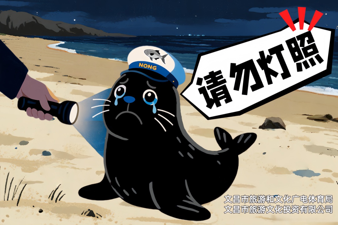 “阿侬”是什么海豹？究竟什么来头？又有新说法→