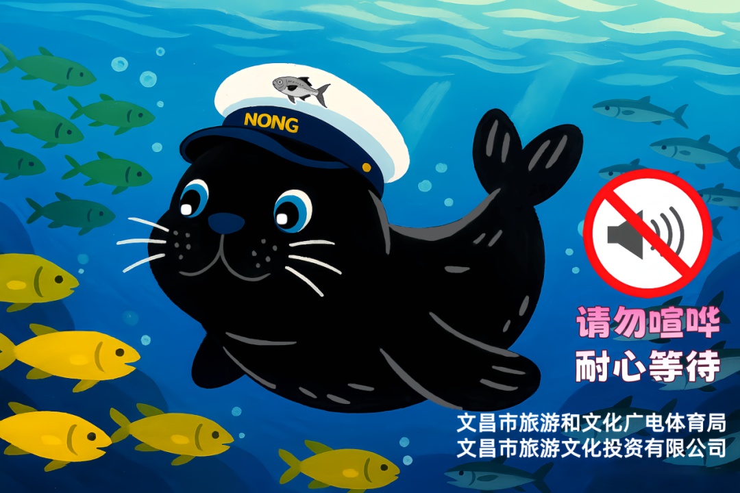 “阿侬”是什么海豹？究竟什么来头？又有新说法→