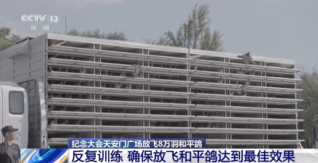 九三阅兵，这支庞大又特殊的队伍“压轴”出场