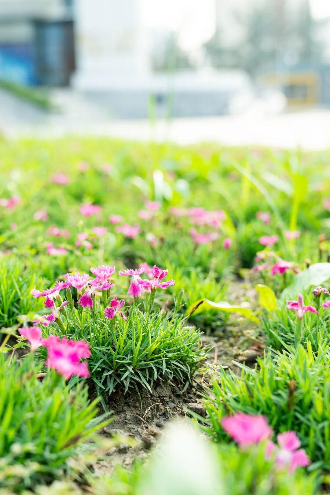 镜头下的北京科学中心丨欧石竹 镜头下的北京科学中心丨欧石竹