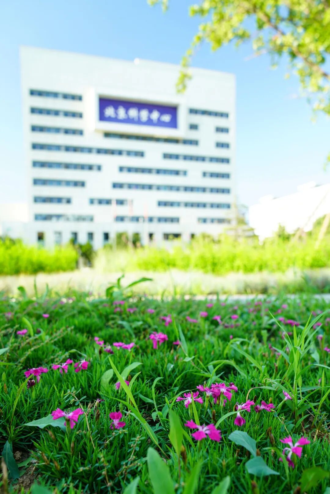 镜头下的北京科学中心丨欧石竹 镜头下的北京科学中心丨欧石竹