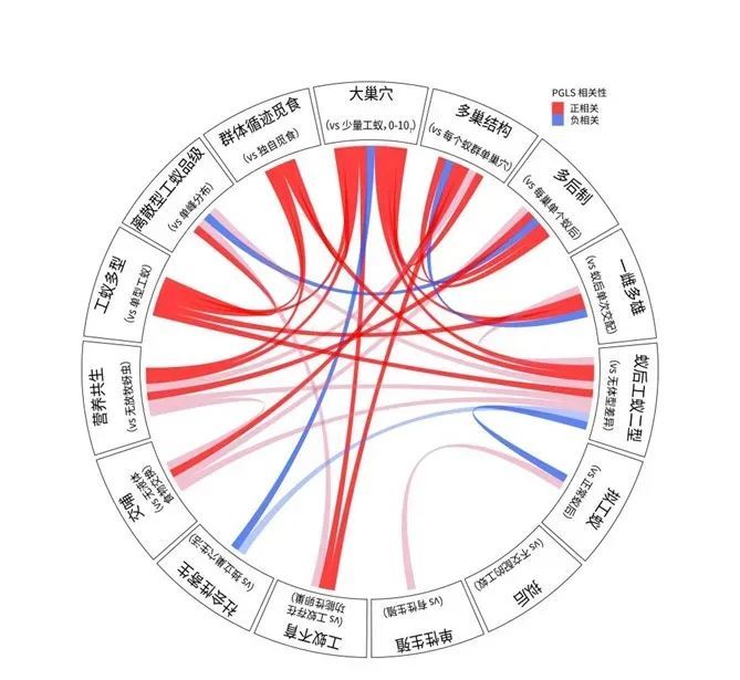 小小蚂蚁，总重量竟是全球人类体重的五分之一！揭秘1.5 亿年生存密码→