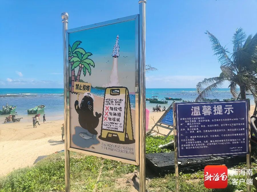 “阿侬”是什么海豹？究竟什么来头？又有新说法→