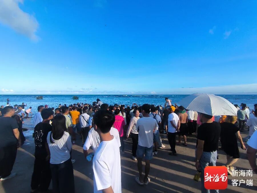 “阿侬”是什么海豹？究竟什么来头？又有新说法→