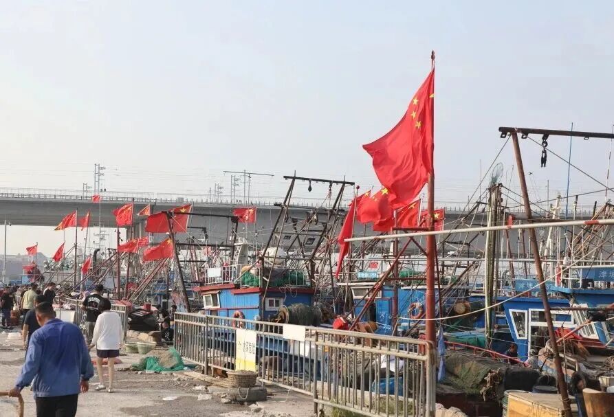 开海啦!15元一斤! 开海啦!15元一斤!