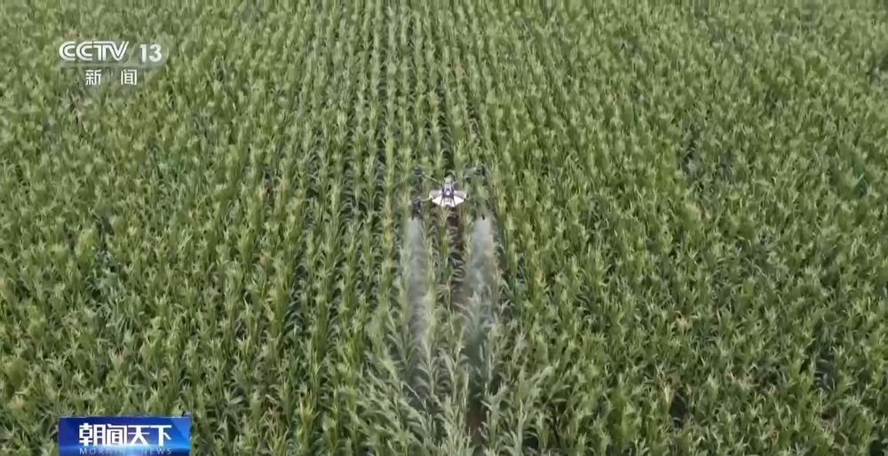 11.46亿资金助力 13省份实施“一喷多促”保秋粮丰收