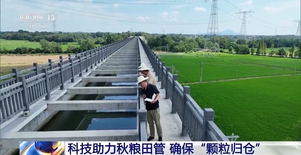 11.46亿资金助力 13省份实施“一喷多促”保秋粮丰收
