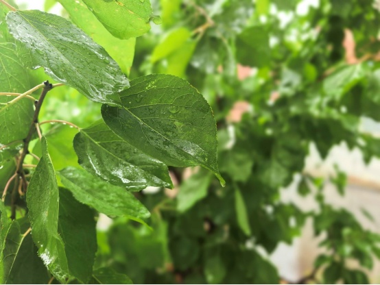 暴雨+降温!雨后最低10℃出头,涉及辽宁这些地区 暴雨+降温!雨后最低10℃出头,涉及辽宁这些地区