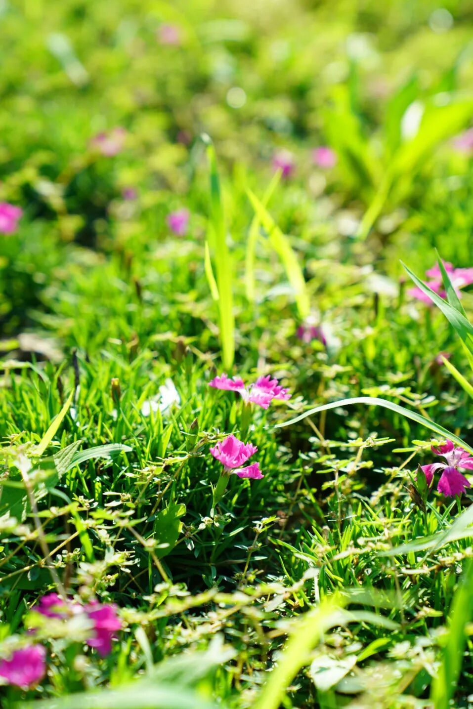 镜头下的北京科学中心丨欧石竹 镜头下的北京科学中心丨欧石竹