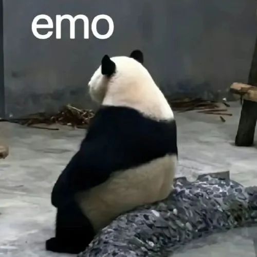 “小本”开“大车”，扣分、罚款、拘留！