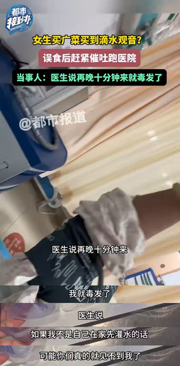 女子吃一口就中毒,紧急就医!这个菜很多人认不清→ 女子吃一口就中毒,紧急就医!这个菜很多人认不清→