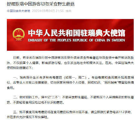 多名中国游客在国外误食毒蘑菇
