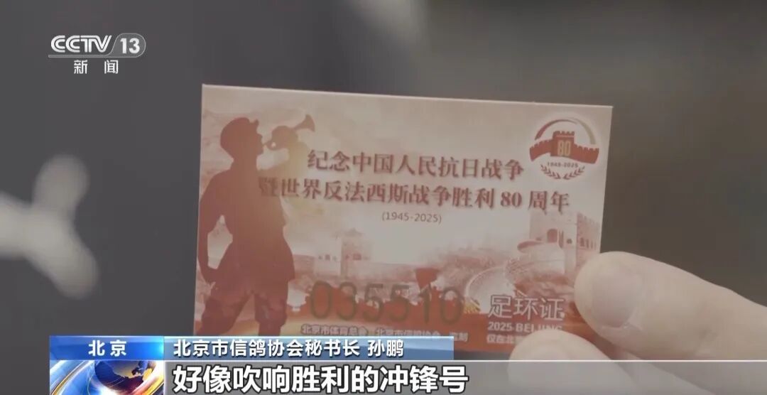 九三阅兵，这支庞大又特殊的队伍“压轴”出场