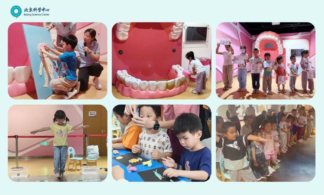 资讯动态 | “北科童行”，科学一夏：全新主题嗨翻暑假，探索之旅精彩不停！