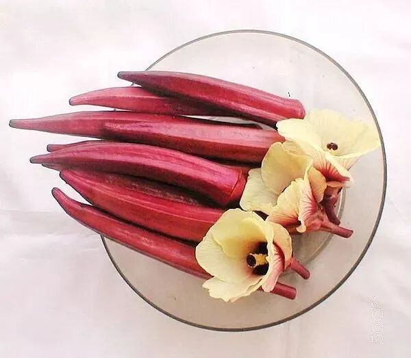 小红书上的秋葵泡水有多恶心，秋葵煮咖啡就有多香！