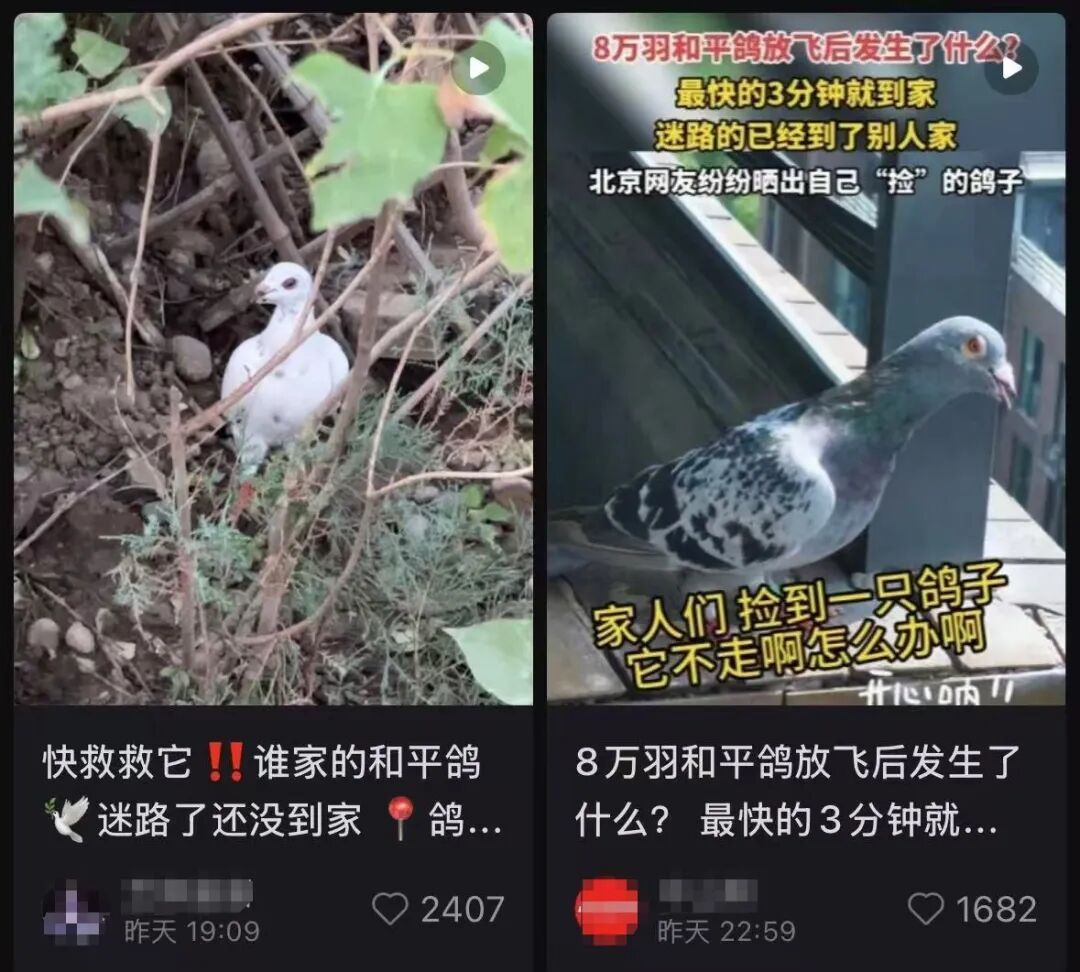 九三阅兵，这支庞大又特殊的队伍“压轴”出场