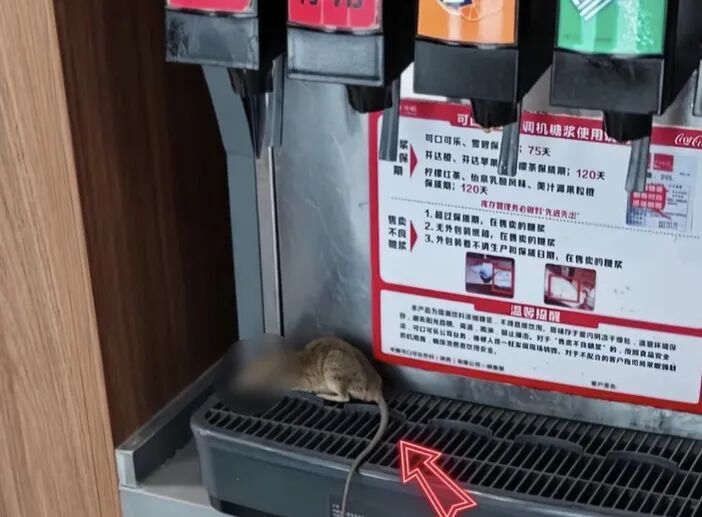 西安警方通报“餐饮店饮料机上发现死老鼠”：王某生(男，25岁)故意放置，已被刑拘