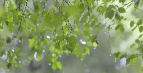 新台风或将生成，周日起广东将现明显降雨