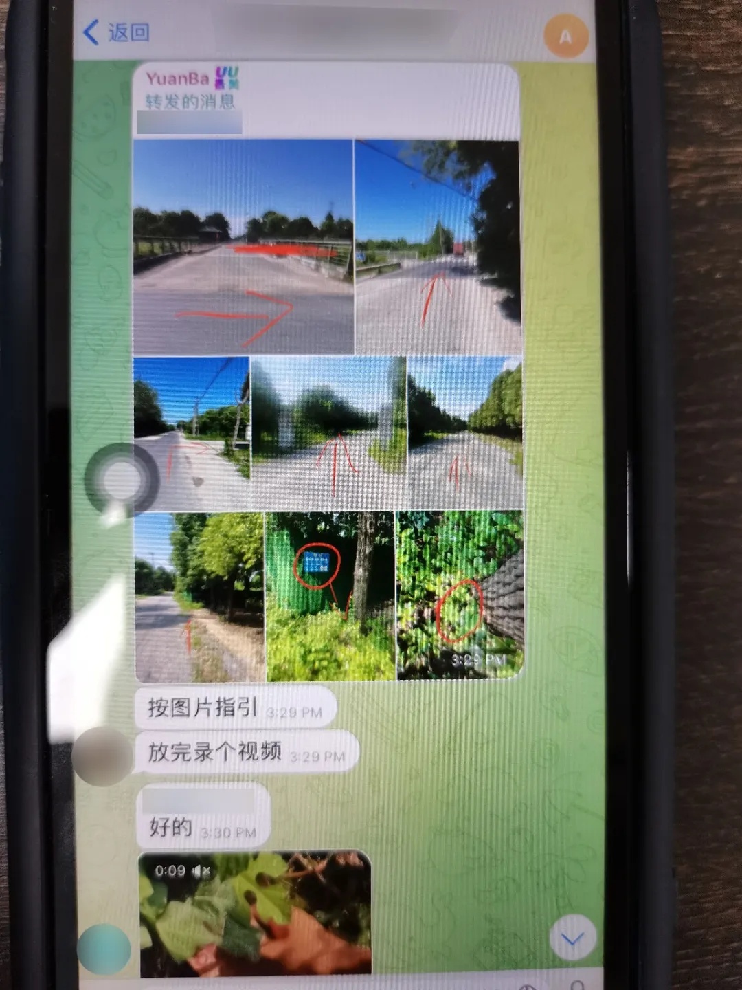 “假孙子”来电，但许奶奶已经不是当年的许奶奶了