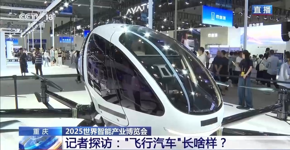“飞行汽车”长啥样？飞行背包怎么用？总台记者探访智博会