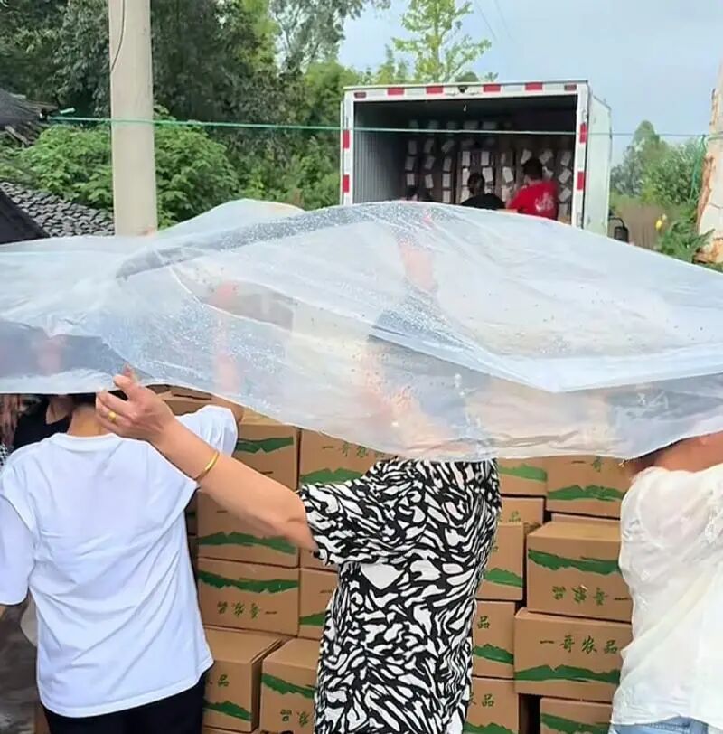 父亲意外离世,90后姑娘守着200亩藕塘正发愁……这时,他们出现了! 父亲意外离世,90后姑娘守着200亩藕塘正发愁……这时,他们出现了!