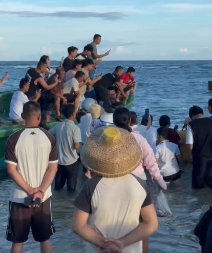 被台风吹来的呆萌海豹要回家了！