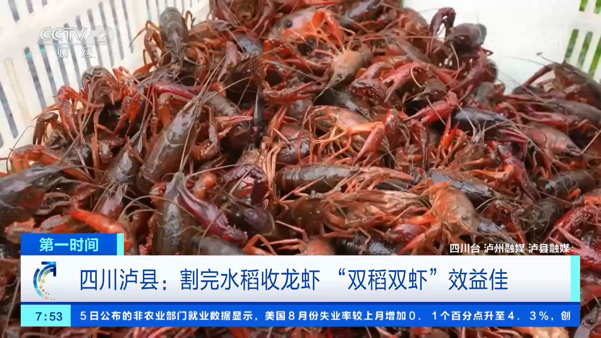 开海了 丰收了 海鲜水产品供应品类丰富、质优量大