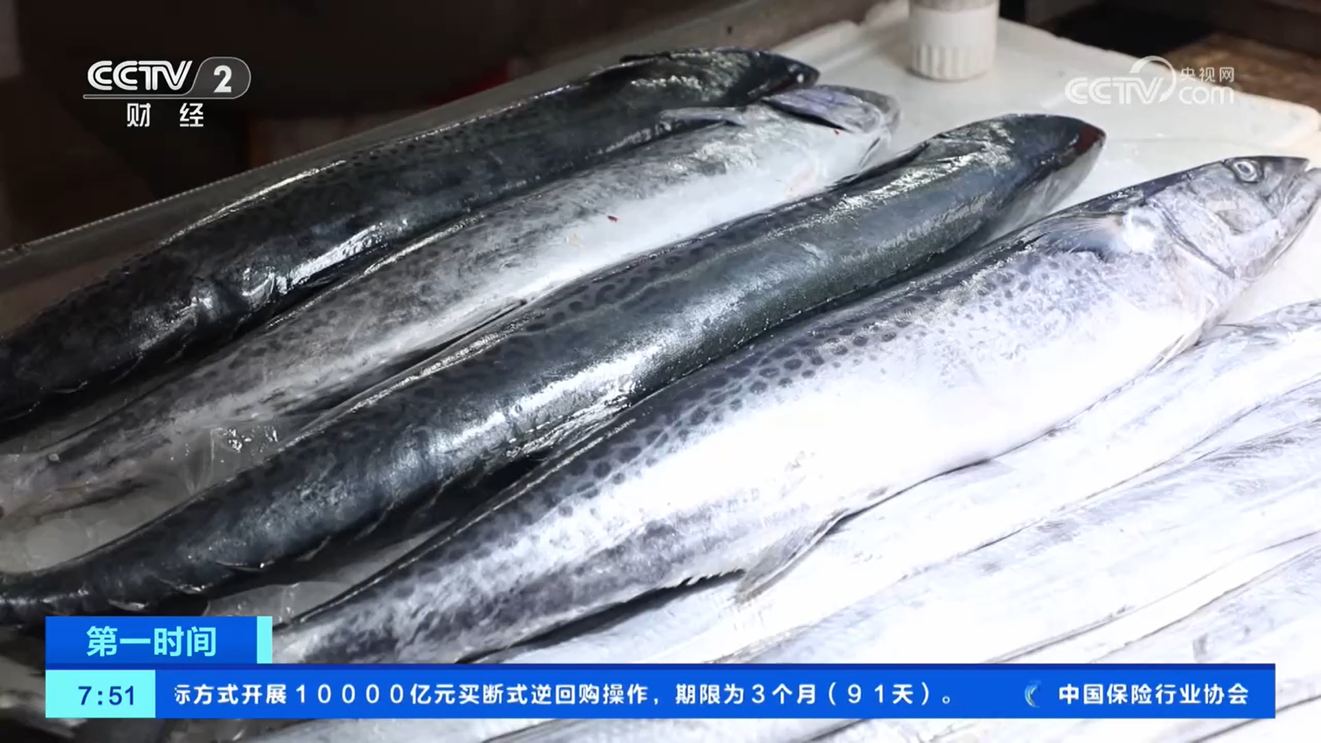 开海了 丰收了 海鲜水产品供应品类丰富、质优量大