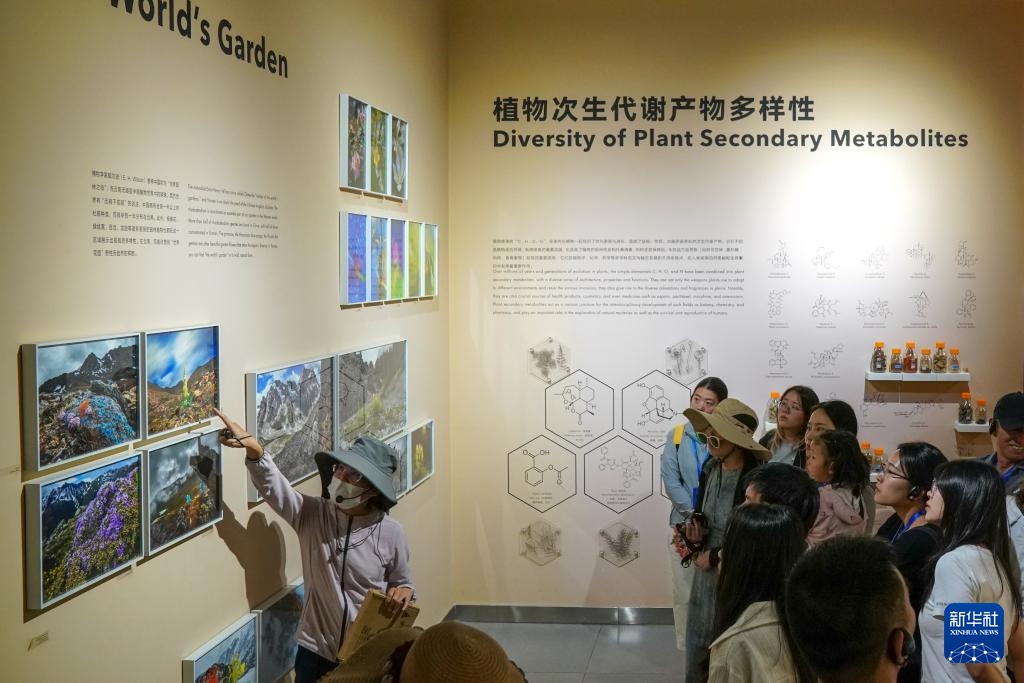 云南昆明：探访城市里的“植物乐园”