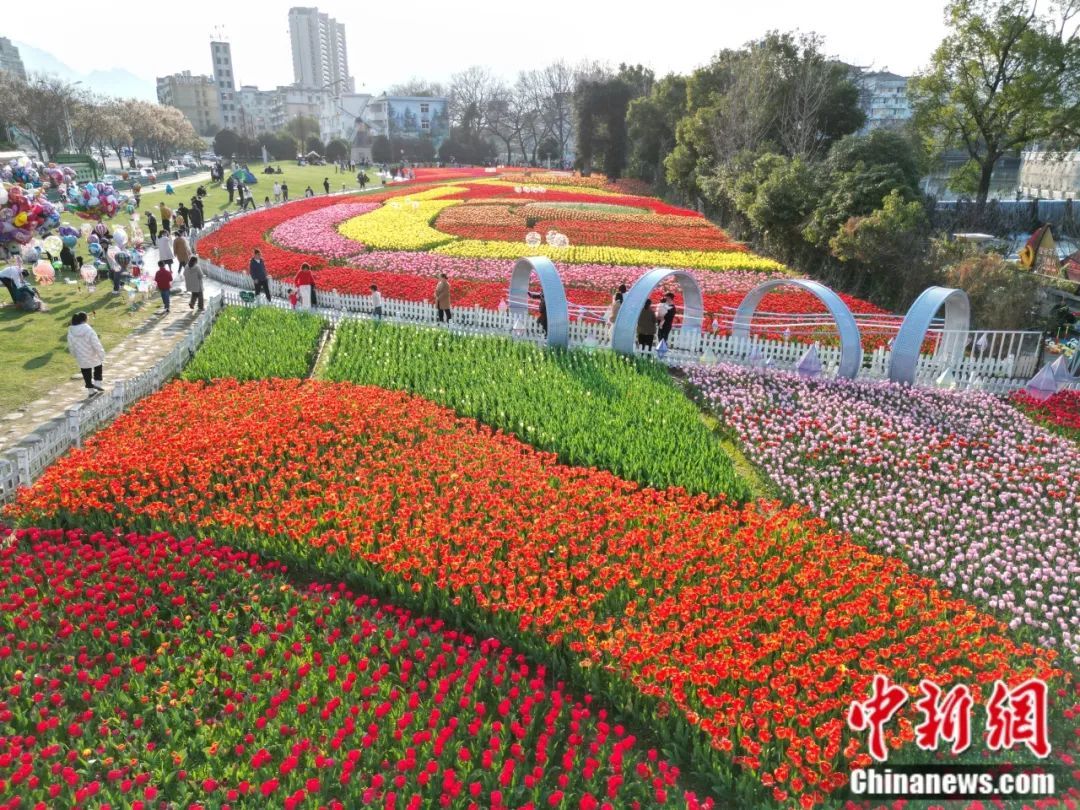 这座被群山包围的小城，何以将木头“玩”转全球？