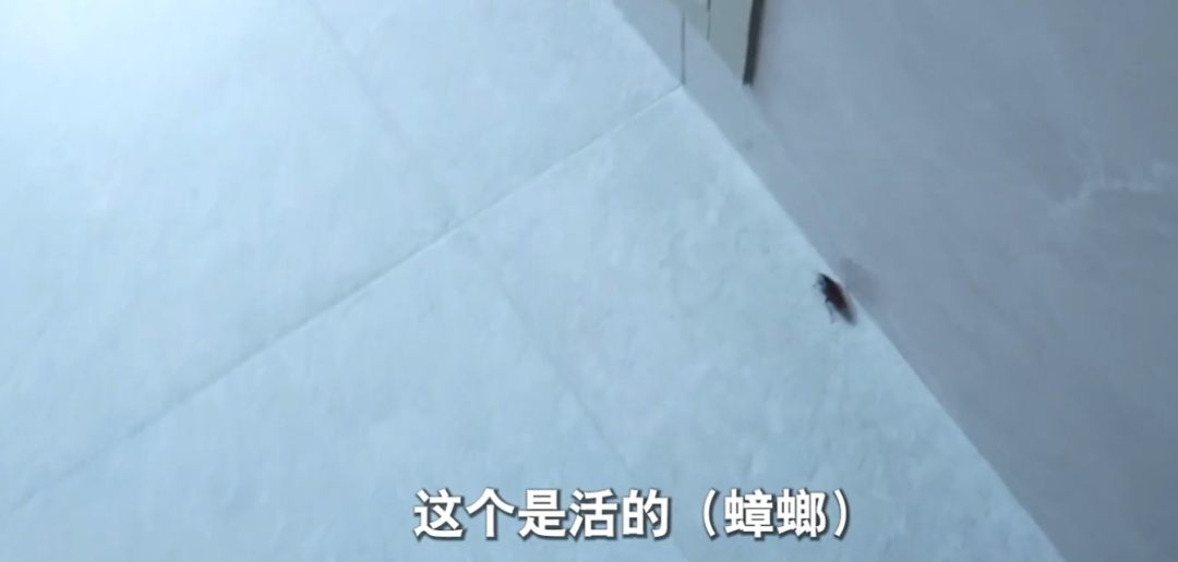 家里清出30吨！男子崩溃