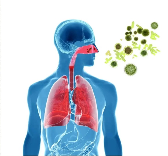 每天被喷嚏叫醒?鼻炎患者:中医这几招亲测有效 每天被喷嚏叫醒?鼻炎患者:中医这几招亲测有效