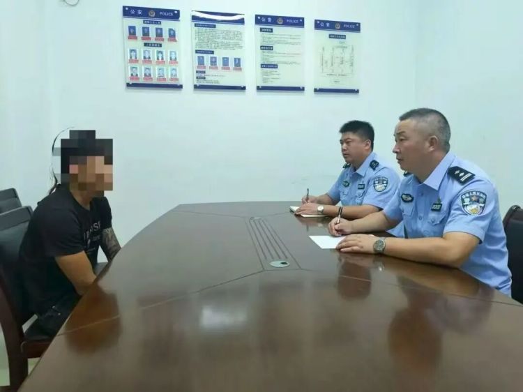 网红海豹“阿侬”被游客拖拽上岸，还被强光照射、扔石头！海南文昌警方倡议